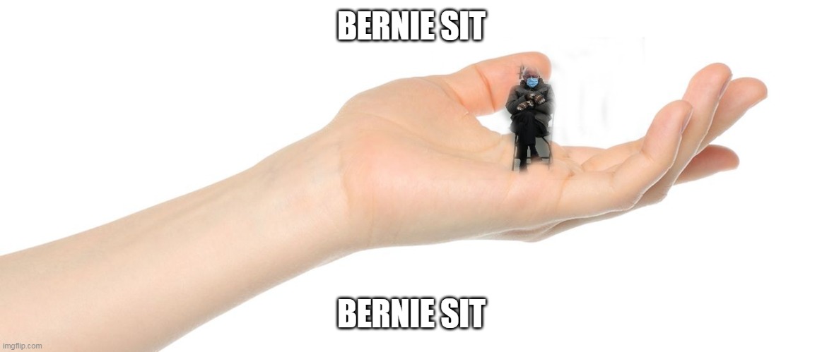 bernie sit | BERNIE SIT; BERNIE SIT | image tagged in bernie sitting,hands,bernie,memes,meme | made w/ Imgflip meme maker