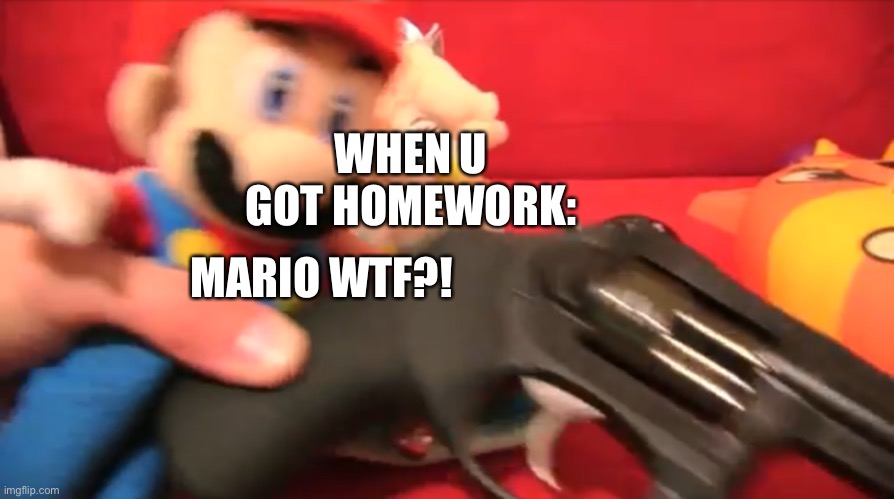 Mario WTF?! SML | WHEN U GOT HOMEWORK:; MARIO WTF?! | image tagged in mario wtf sml | made w/ Imgflip meme maker