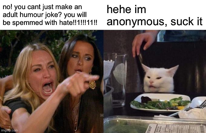 Woman Yelling At Cat Meme | no! you cant just make an adult humour joke? you will be spemmed with hate!!1!!!11!! hehe im anonymous, suck it | image tagged in memes,woman yelling at cat | made w/ Imgflip meme maker