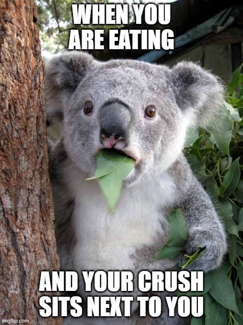 Surprised Koala | WHEN YOU ARE EATING; AND YOUR CRUSH SITS NEXT TO YOU | image tagged in memes,surprised koala | made w/ Imgflip meme maker