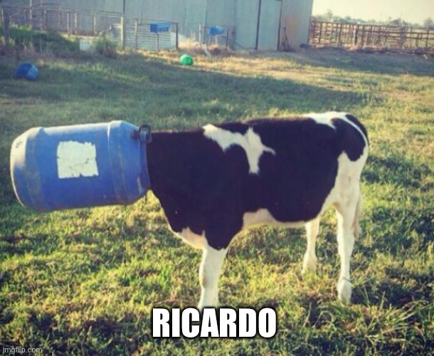 Ricardo | RICARDO | image tagged in animals | made w/ Imgflip meme maker