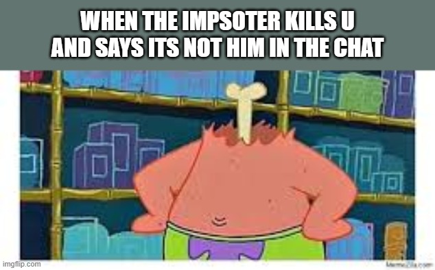 #Among us be like | WHEN THE IMPSOTER KILLS U AND SAYS ITS NOT HIM IN THE CHAT | image tagged in among us | made w/ Imgflip meme maker