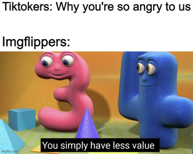 Ya got what ya deserved... | Tiktokers: Why you're so angry to us; Imgflippers: | image tagged in you simply have less value | made w/ Imgflip meme maker