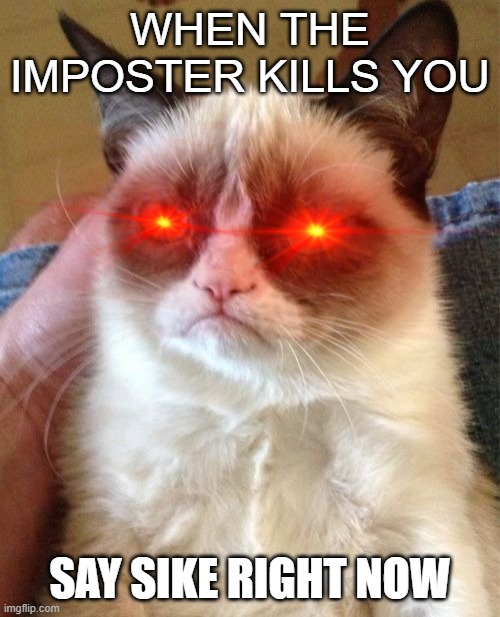Grumpy Cat | WHEN THE IMPOSTER KILLS YOU; SAY SIKE RIGHT NOW | image tagged in memes,among us,grumpy cat | made w/ Imgflip meme maker