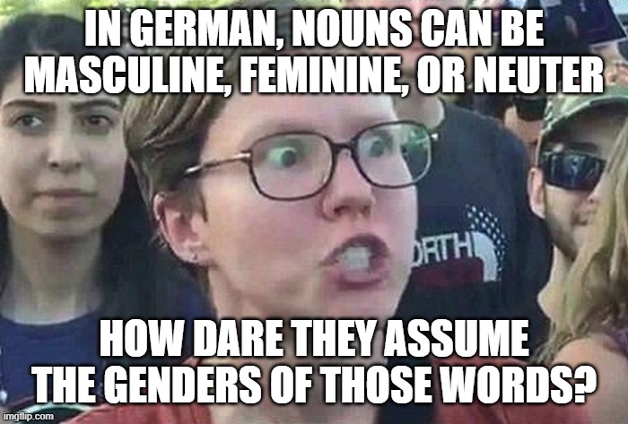 What if a word doesn't identify as its grammatical gender?? | IN GERMAN, NOUNS CAN BE MASCULINE, FEMININE, OR NEUTER; HOW DARE THEY ASSUME THE GENDERS OF THOSE WORDS? | image tagged in triggered liberal,german,gender identity | made w/ Imgflip meme maker