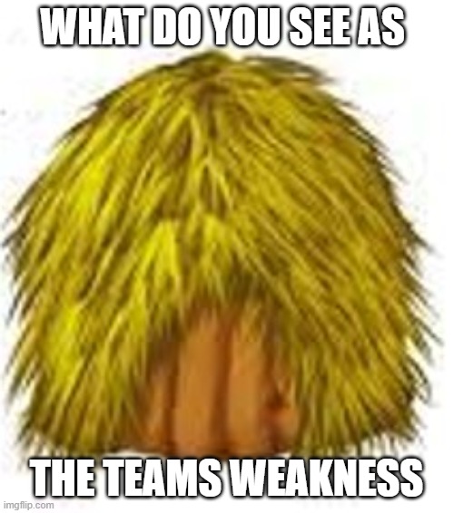 straw house | WHAT DO YOU SEE AS; THE TEAMS WEAKNESS | image tagged in house | made w/ Imgflip meme maker
