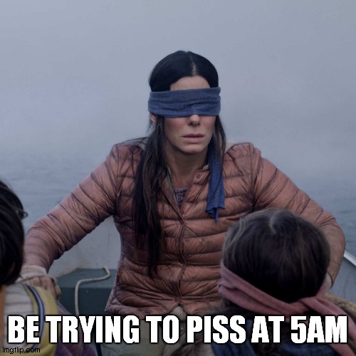 Bird Box Meme | BE TRYING TO PISS AT 5AM | image tagged in memes,bird box | made w/ Imgflip meme maker