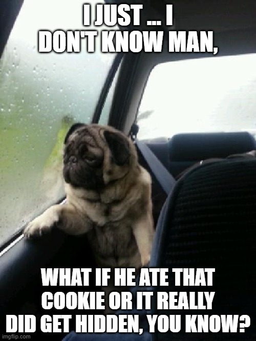 Introspective Pug | I JUST ... I DON'T KNOW MAN, WHAT IF HE ATE THAT COOKIE OR IT REALLY DID GET HIDDEN, YOU KNOW? | image tagged in introspective pug | made w/ Imgflip meme maker