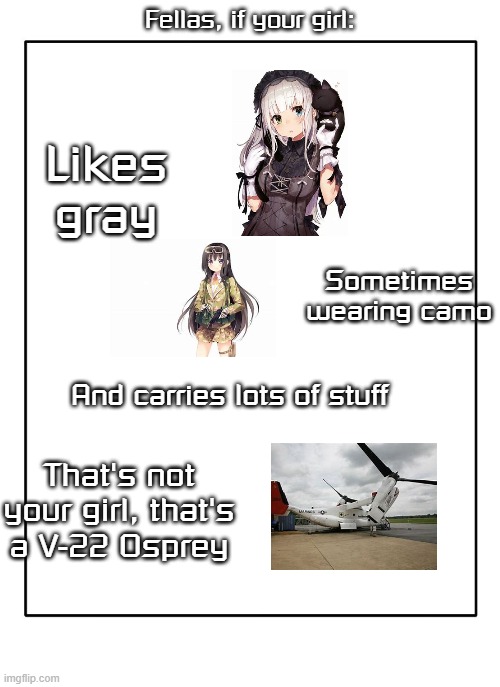 Blank Template | Fellas, if your girl:; Likes gray; Sometimes wearing camo; And carries lots of stuff; That's not your girl, that's a V-22 Osprey | image tagged in blank template | made w/ Imgflip meme maker