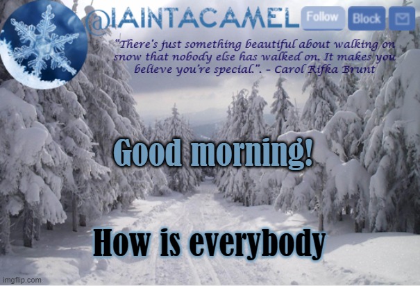 iaintacamel | Good morning! How is everybody | image tagged in iaintacamel | made w/ Imgflip meme maker