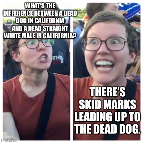Social Justice Warrior Hypocrisy | WHAT’S THE DIFFERENCE BETWEEN A DEAD DOG IN CALIFORNIA AND A DEAD STRAIGHT WHITE MALE IN CALIFORNIA? THERE’S SKID MARKS LEADING UP TO THE DEAD DOG. | image tagged in social justice warrior hypocrisy | made w/ Imgflip meme maker