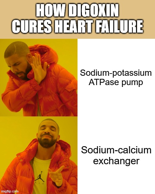 How digoxin cures heart failure | HOW DIGOXIN CURES HEART FAILURE; Sodium-potassium ATPase pump; Sodium-calcium exchanger | image tagged in memes,drake hotline bling,medical,medical school | made w/ Imgflip meme maker