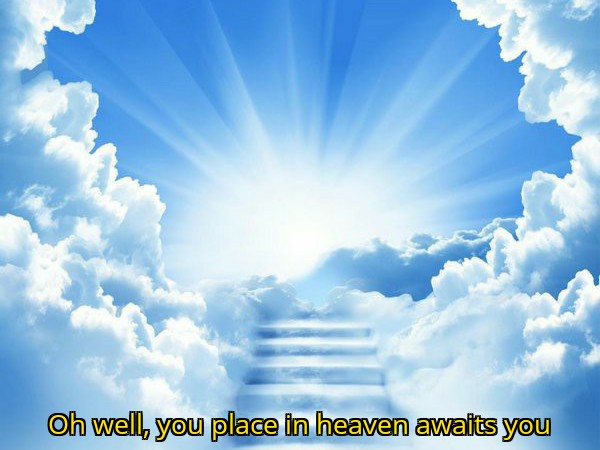 High Quality oh well, you place in heaven awaits you Blank Meme Template