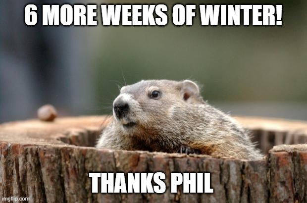 Groundhog | 6 MORE WEEKS OF WINTER! THANKS PHIL | image tagged in groundhog | made w/ Imgflip meme maker