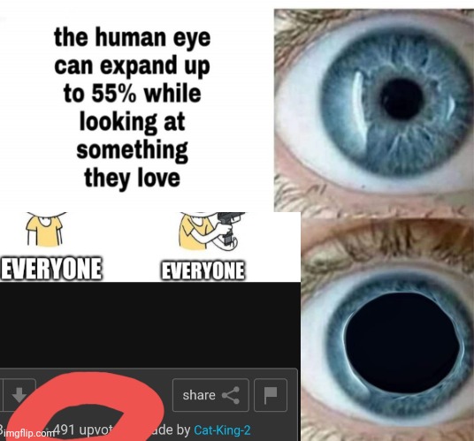 Thank you so much Imgflip! | image tagged in the human eye,upvote,thx | made w/ Imgflip meme maker