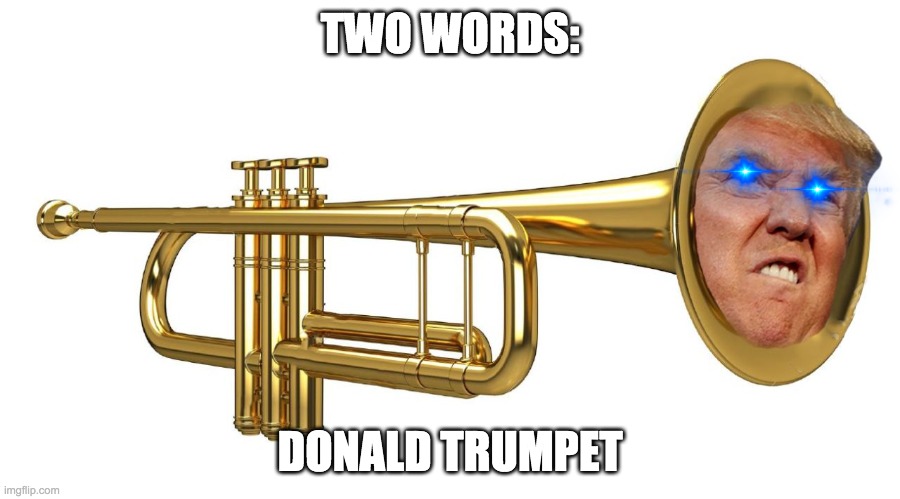 Donald Trumpet | TWO WORDS:; DONALD TRUMPET | image tagged in donald trumpet,hilarious,joe bidome is underated | made w/ Imgflip meme maker
