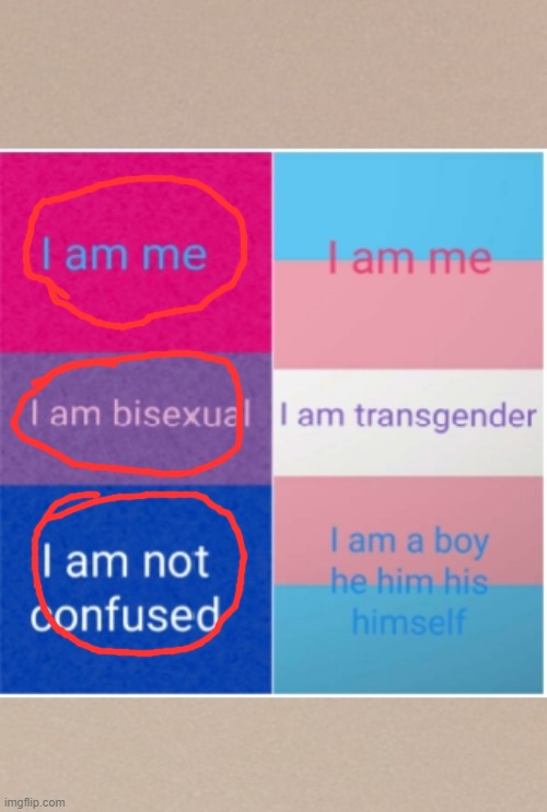 Transgender and bisexual | image tagged in transgender and bisexual | made w/ Imgflip meme maker