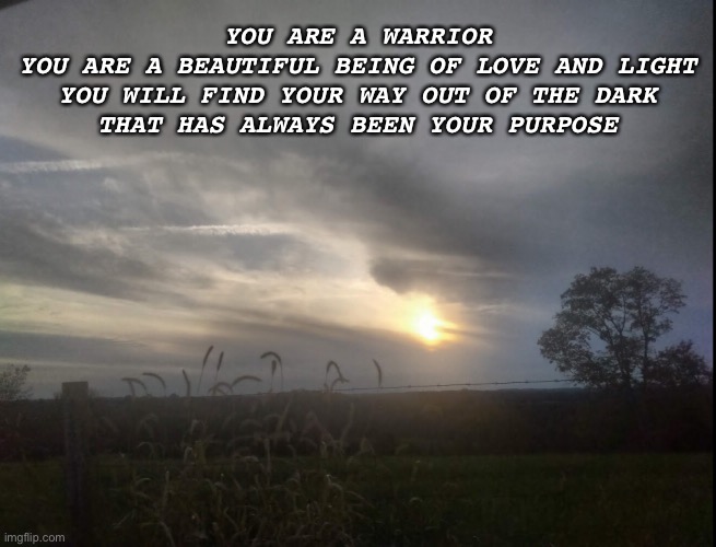 #2 | YOU ARE A WARRIOR
YOU ARE A BEAUTIFUL BEING OF LOVE AND LIGHT
YOU WILL FIND YOUR WAY OUT OF THE DARK
THAT HAS ALWAYS BEEN YOUR PURPOSE | image tagged in be_the_light | made w/ Imgflip meme maker