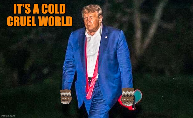Defeated Trump Meme | IT'S A COLD CRUEL WORLD | image tagged in defeated trump meme | made w/ Imgflip meme maker