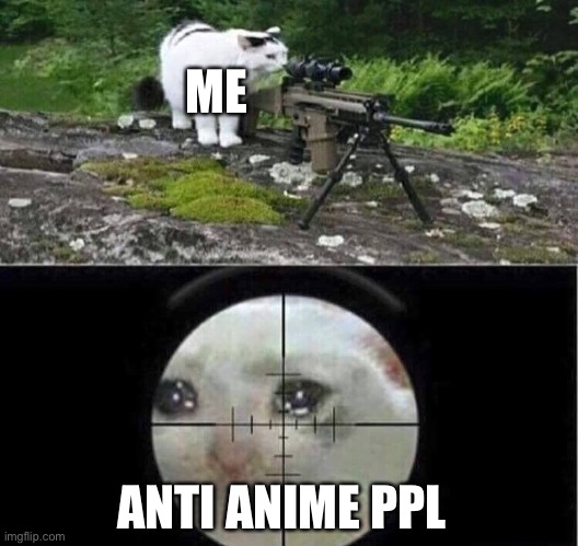 Sniper cat | ME; ANTI ANIME PPL | image tagged in sniper cat | made w/ Imgflip meme maker