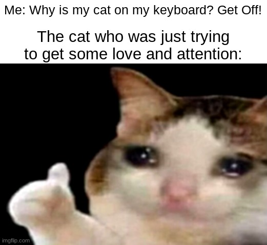 ...wholesome but. | Me: Why is my cat on my keyboard? Get Off! The cat who was just trying to get some love and attention: | image tagged in sad cat thumbs up,memes,funny | made w/ Imgflip meme maker