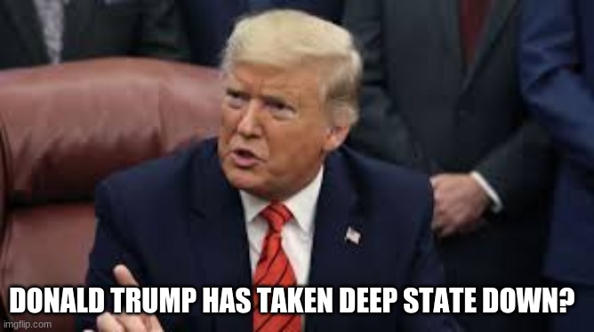 DONALD TRUMP HAS TAKEN DEEP STATE DOWN? | image tagged in donald trump | made w/ Imgflip meme maker
