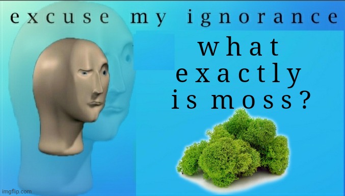 Excuse my ignorance but | w h a t 
e x a c t l y 
i s  m o s s ? | image tagged in excuse my ignorance but | made w/ Imgflip meme maker