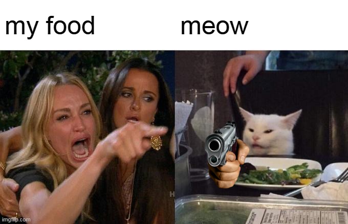 Woman Yelling At Cat | my food; meow | image tagged in memes,woman yelling at cat | made w/ Imgflip meme maker