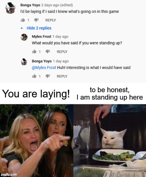 you are laying | image tagged in lies | made w/ Imgflip meme maker