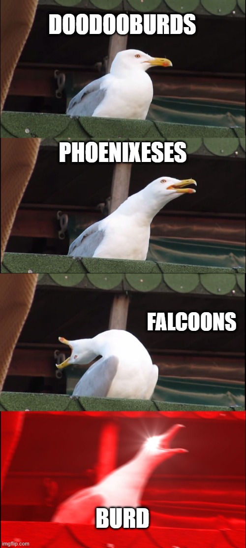 Inhaling Seagull | DOODOOBURDS; PHOENIXESES; FALCOONS; BURD | image tagged in memes,inhaling seagull | made w/ Imgflip meme maker