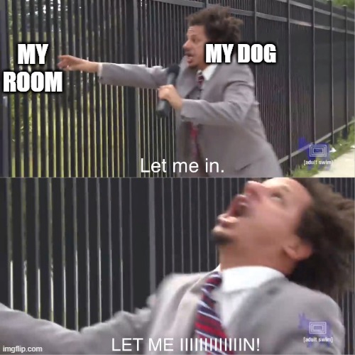 .-. | MY ROOM; MY DOG | image tagged in let me in | made w/ Imgflip meme maker
