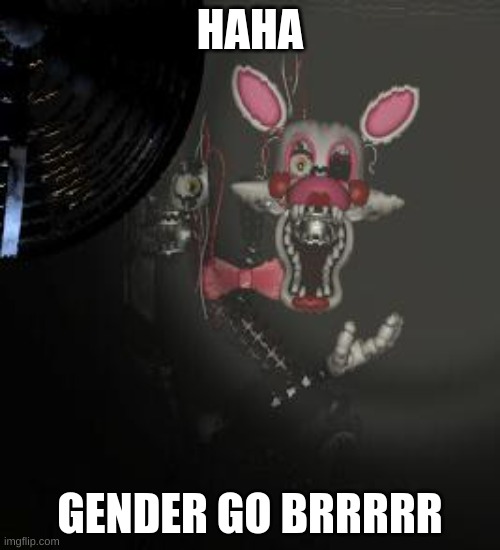 Gender go brrrrrrrrrrrr | HAHA; GENDER GO BRRRRR | image tagged in mangle | made w/ Imgflip meme maker