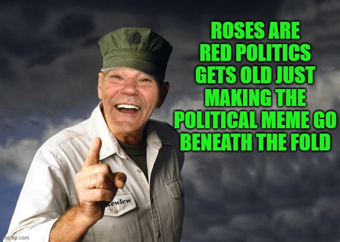 kewlew | ROSES ARE RED POLITICS GETS OLD JUST MAKING THE POLITICAL MEME GO BENEATH THE FOLD | image tagged in kewlew | made w/ Imgflip meme maker