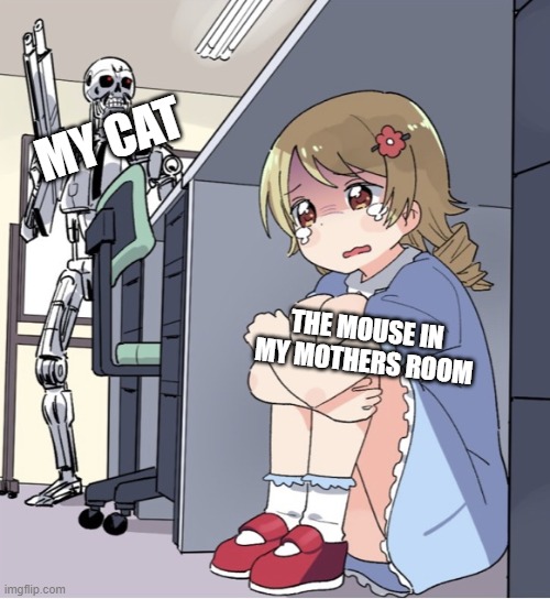 :| | MY CAT; THE MOUSE IN MY MOTHERS ROOM | image tagged in anime girl hiding from terminator | made w/ Imgflip meme maker