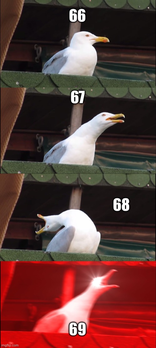 true | 66; 67; 68; 69 | image tagged in memes,inhaling seagull,stop reading the tags | made w/ Imgflip meme maker