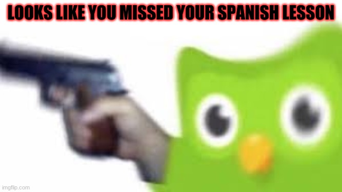 Duolingo: SPANISH LESSON MISSED *now* | LOOKS LIKE YOU MISSED YOUR SPANISH LESSON | image tagged in spanish,lessons,no,meme,here | made w/ Imgflip meme maker