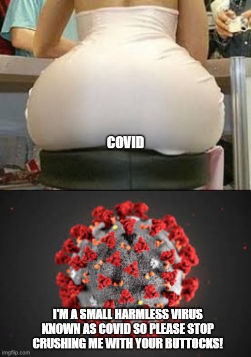 Covid-19 getting brutally injured | COVID; I'M A SMALL HARMLESS VIRUS KNOWN AS COVID SO PLEASE STOP CRUSHING ME WITH YOUR BUTTOCKS! | image tagged in coronavirus,pandemic,butt,sitting,funny,humor | made w/ Imgflip meme maker
