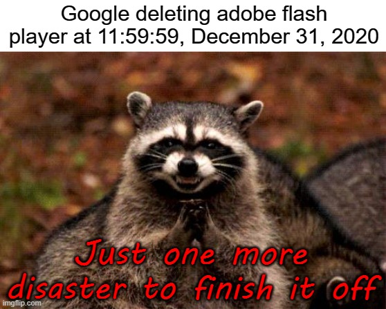 Rest in peace |  Google deleting adobe flash player at 11:59:59, December 31, 2020; Just one more disaster to finish it off | image tagged in memes,evil plotting raccoon,adobe flash,2020 sucks | made w/ Imgflip meme maker