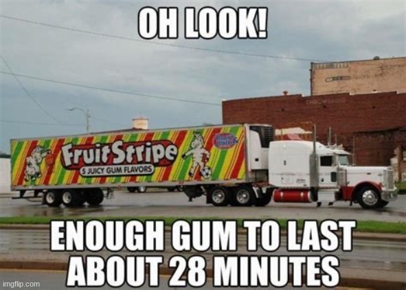 gum sucks | image tagged in memes | made w/ Imgflip meme maker