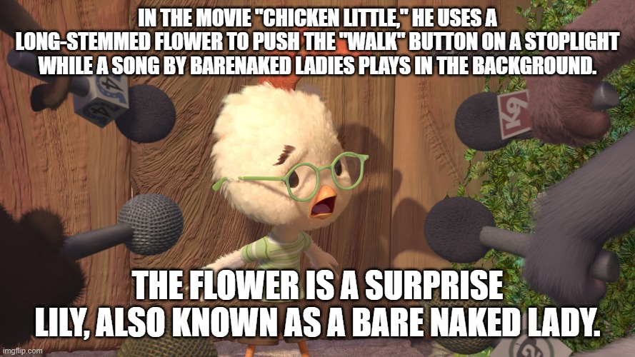 Chicken Little | IN THE MOVIE "CHICKEN LITTLE," HE USES A LONG-STEMMED FLOWER TO PUSH THE "WALK" BUTTON ON A STOPLIGHT WHILE A SONG BY BARENAKED LADIES PLAYS IN THE BACKGROUND. THE FLOWER IS A SURPRISE LILY, ALSO KNOWN AS A BARE NAKED LADY. | image tagged in chicken little | made w/ Imgflip meme maker