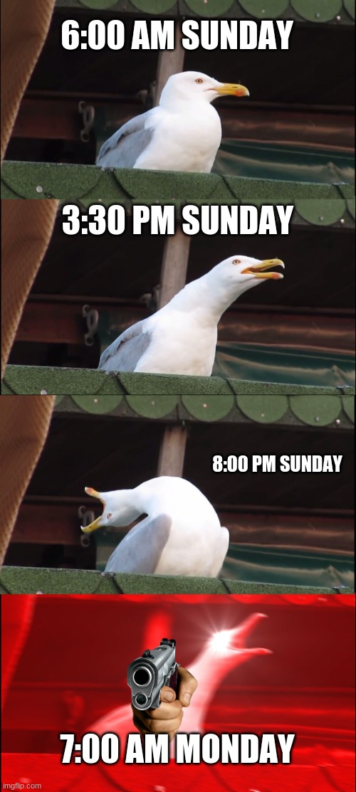 Inhaling Seagull | 6:00 AM SUNDAY; 3:30 PM SUNDAY; 8:00 PM SUNDAY; 7:00 AM MONDAY | image tagged in memes,inhaling seagull,i hate mondays,relatable,funny memes | made w/ Imgflip meme maker