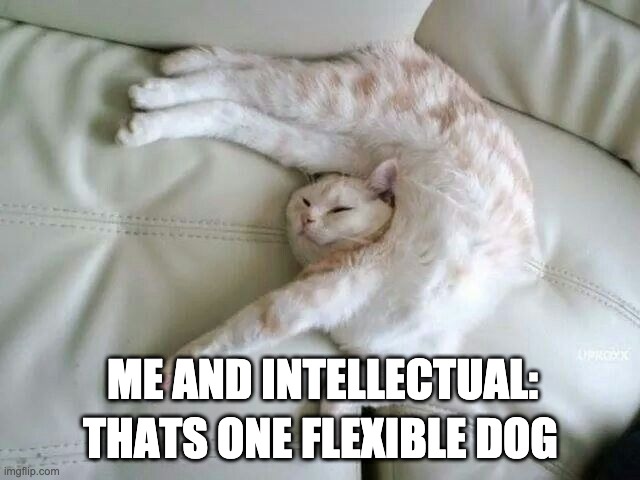 DOG WATER |  THATS ONE FLEXIBLE DOG; ME AND INTELLECTUAL: | image tagged in dog water,kitty litter,flexibledog,funny memes,fun,thedentist | made w/ Imgflip meme maker