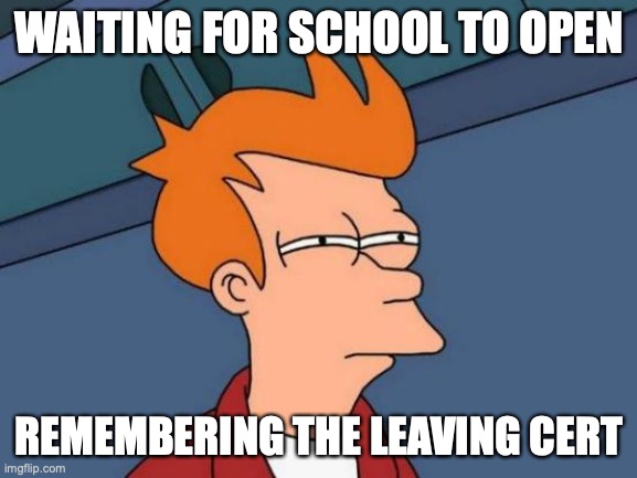 School | WAITING FOR SCHOOL TO OPEN; REMEMBERING THE LEAVING CERT | image tagged in memes,futurama fry,ireland,exams,covid-19,coronavirus | made w/ Imgflip meme maker