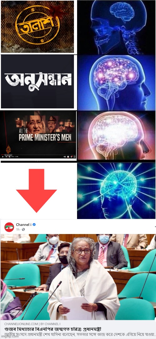 Investigative Journalism | image tagged in memes,expanding brain | made w/ Imgflip meme maker