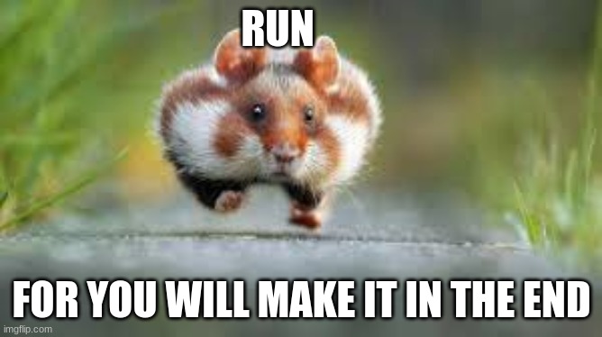 Run | RUN; FOR YOU WILL MAKE IT IN THE END | image tagged in hamster,memes,you can do it | made w/ Imgflip meme maker