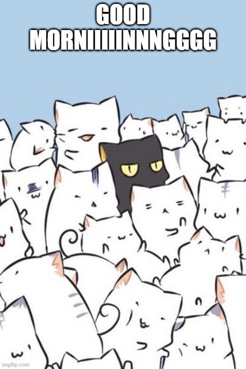 hlo | GOOD MORNIIIIINNNGGGG | image tagged in cats | made w/ Imgflip meme maker