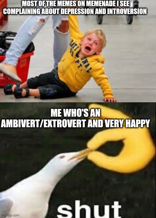  MOST OF THE MEMES ON MEMENADE I SEE COMPLAINING ABOUT DEPRESSION AND INTROVERSION; ME WHO'S AN AMBIVERT/EXTROVERT AND VERY HAPPY | image tagged in tantrum store,shut,happy,ambivert,extrovert | made w/ Imgflip meme maker
