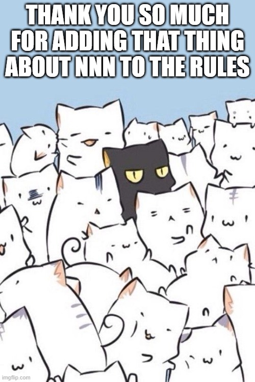 thank youuuu | THANK YOU SO MUCH FOR ADDING THAT THING ABOUT NNN TO THE RULES | image tagged in cats | made w/ Imgflip meme maker