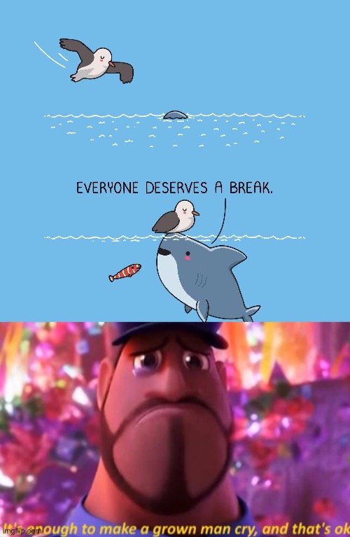 little did you know the shark is saving the bird for food later- | image tagged in it's enough to make a grown man cry and that's ok | made w/ Imgflip meme maker