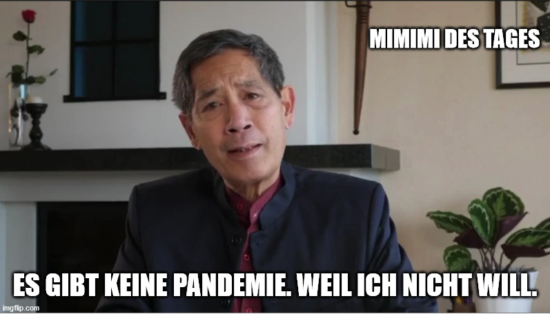 bhakdi keine pandemie | MIMIMI DES TAGES; ES GIBT KEINE PANDEMIE. WEIL ICH NICHT WILL. | image tagged in memes,fun,panik kalm panik,coronavirus | made w/ Imgflip meme maker